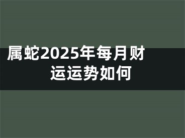 属蛇2025年每月财运运势如何