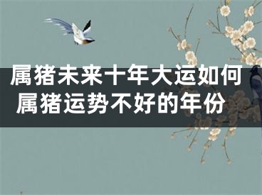 属猪未来十年大运如何 属猪运势不好的年份