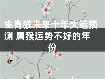 生肖猴未来十年大运预测 属猴运势不好的年份