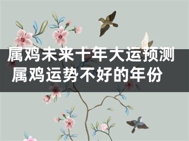 属鸡未来十年大运预测 属鸡运势不好的年份