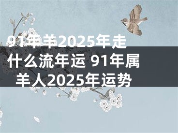 91年羊2025年走什么流年运 91年属羊人2025年运势