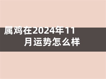 属鸡在2024年11月运势怎么样