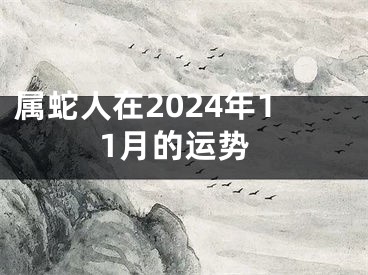 属蛇人在2024年11月的运势