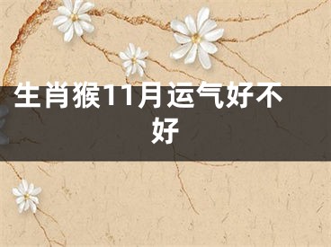 生肖猴11月运气好不好