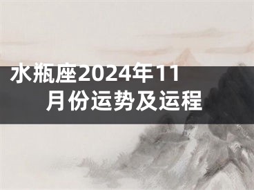 水瓶座2024年11月份运势及运程