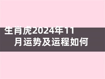 生肖虎2024年11月运势及运程如何