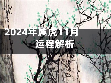 2024年属虎11月运程解析