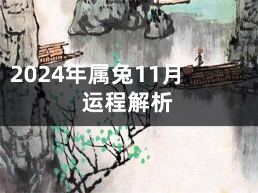 2024年属兔11月运程解析