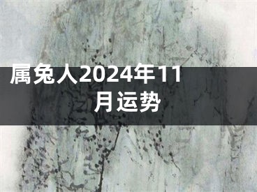 属兔人2024年11月运势