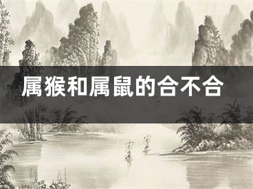 属猴和属鼠的合不合
