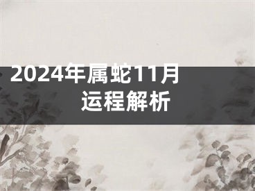 2024年属蛇11月运程解析