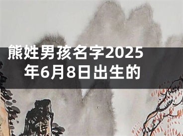 熊姓男孩名字2025年6月8日出生的