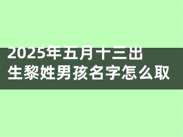 2025年五月十三出生黎姓男孩名字怎么取