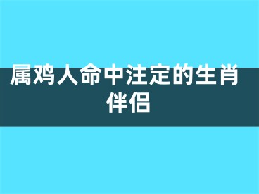 属鸡人命中注定的生肖伴侣