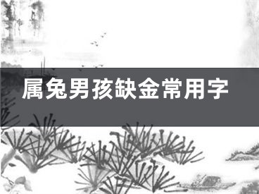 属兔男孩缺金常用字