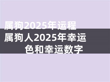 属狗2025年运程 属狗人2025年幸运色和幸运数字