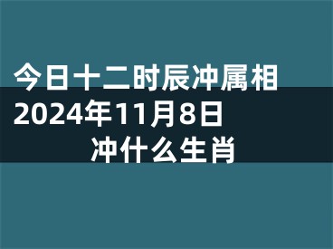 今日十二时辰冲属相 2024年11月8日冲什么生肖
