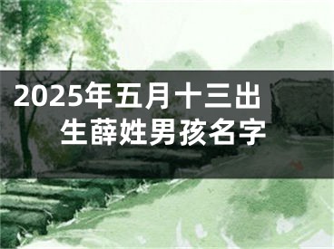 2025年五月十三出生薛姓男孩名字