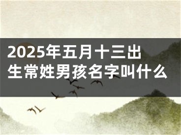 2025年五月十三出生常姓男孩名字叫什么