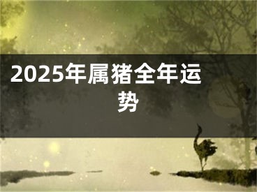 2025年属猪全年运势