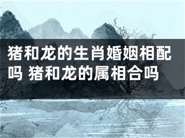 猪和龙的生肖婚姻相配吗 猪和龙的属相合吗