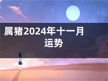 属猪2024年十一月运势