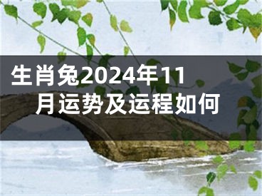 生肖兔2024年11月运势及运程如何