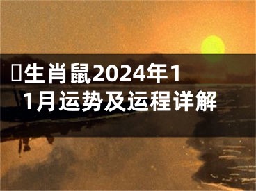 ​生肖鼠2024年11月运势及运程详解