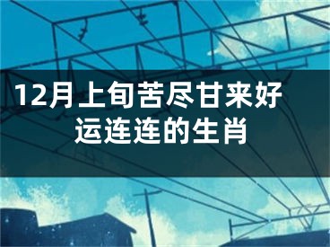 12月上旬苦尽甘来好运连连的生肖