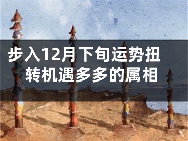 步入12月下旬运势扭转机遇多多的属相