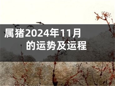 属猪2024年11月的运势及运程