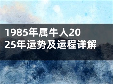 1985年属牛人2025年运势及运程详解