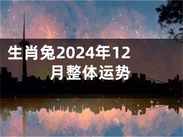 生肖兔2024年12月整体运势