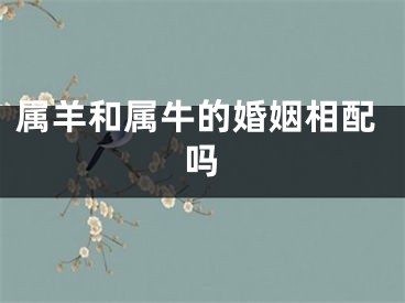 属羊和属牛的婚姻相配吗
