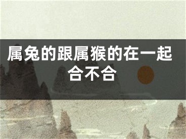 属兔的跟属猴的在一起合不合