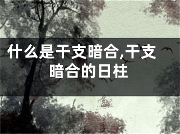 什么是干支暗合,干支暗合的日柱