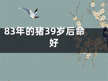 83年的猪39岁后命好