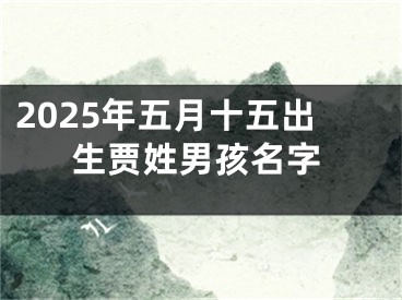2025年五月十五出生贾姓男孩名字