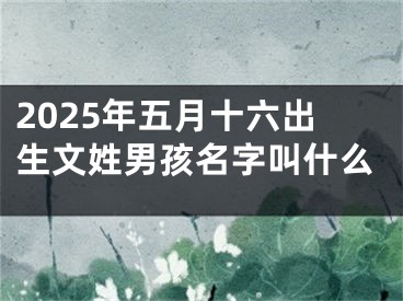 2025年五月十六出生文姓男孩名字叫什么