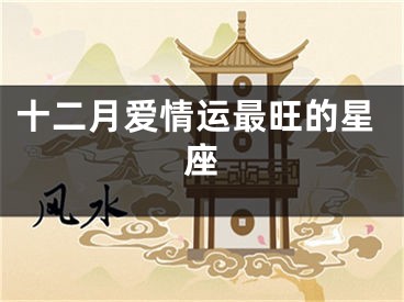 十二月爱情运最旺的星座