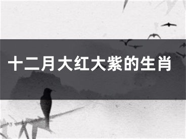 十二月大红大紫的生肖