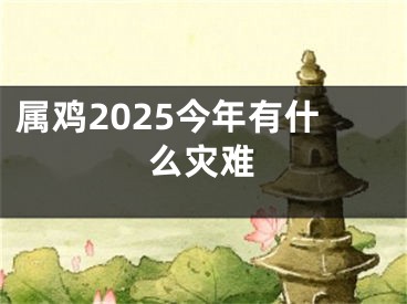 属鸡2025今年有什么灾难