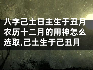 八字己土日主生于丑月农历十二月的用神怎么选取,己土生于己丑月