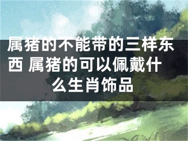 属猪的不能带的三样东西 属猪的可以佩戴什么生肖饰品