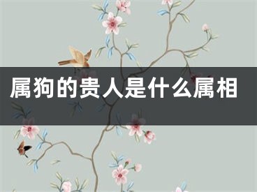 属狗的贵人是什么属相