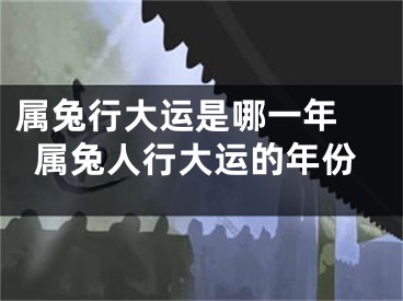 属兔行大运是哪一年 属兔人行大运的年份