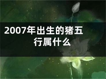 2007年出生的猪五行属什么