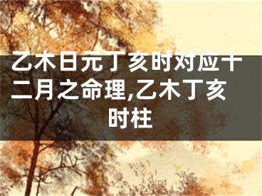 乙木日元丁亥时对应十二月之命理,乙木丁亥时柱