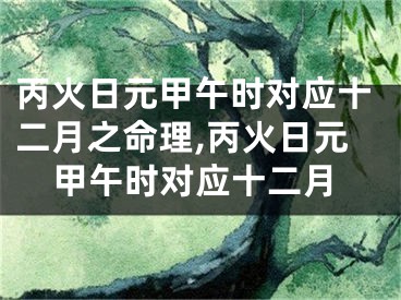 丙火日元甲午时对应十二月之命理,丙火日元甲午时对应十二月