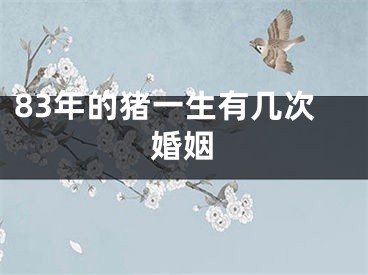 83年的猪一生有几次婚姻